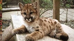 Claws N’ Paws Animal Park