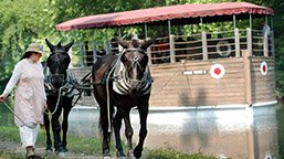 National Canal Museum & Rides