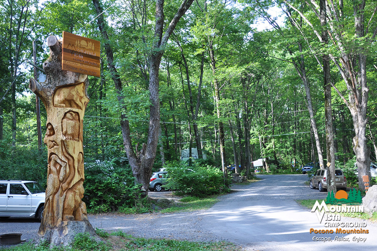 The Campground Spacious Sites RVs Family Fun Poconos
