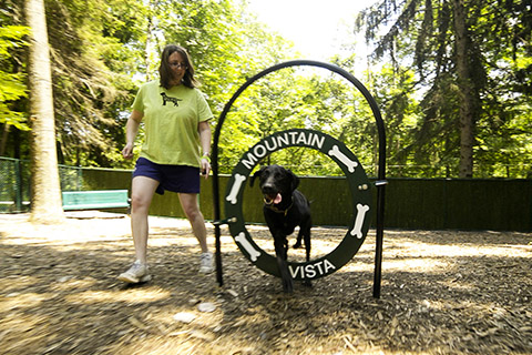 Mountain Vista Campground