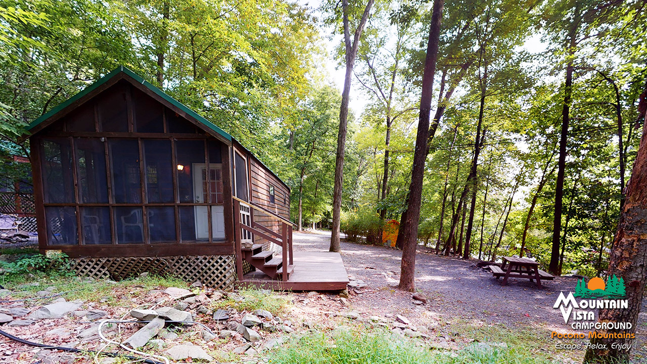 DELUXE 1-BEDROOM CABIN #1